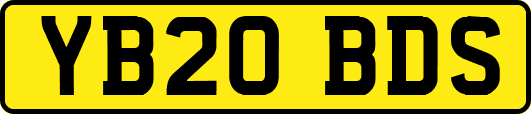 YB20BDS