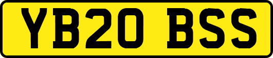 YB20BSS