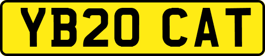 YB20CAT