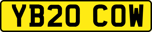 YB20COW