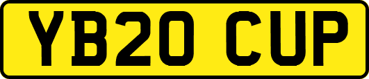 YB20CUP