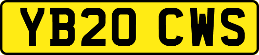 YB20CWS