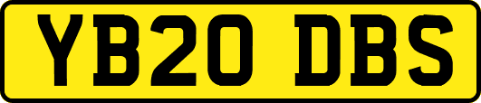 YB20DBS
