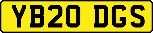 YB20DGS