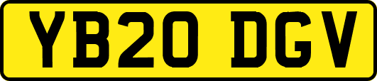 YB20DGV