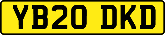 YB20DKD
