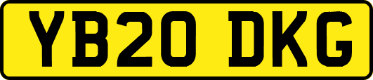 YB20DKG