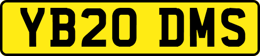 YB20DMS