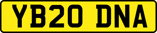 YB20DNA