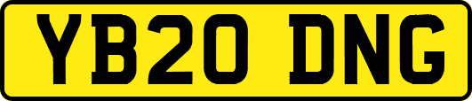 YB20DNG