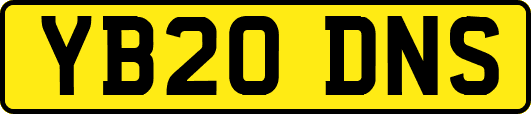 YB20DNS