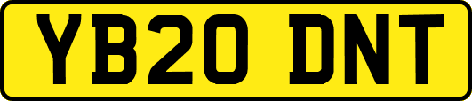 YB20DNT