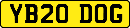 YB20DOG
