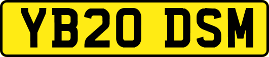 YB20DSM