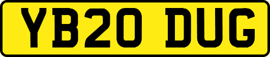 YB20DUG