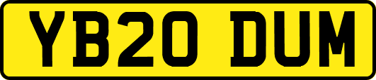 YB20DUM