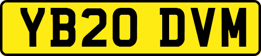 YB20DVM