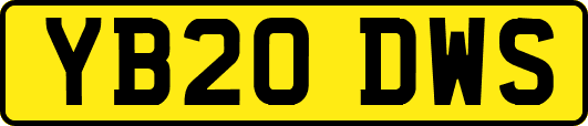 YB20DWS