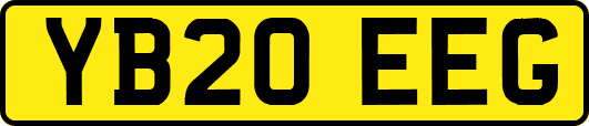 YB20EEG