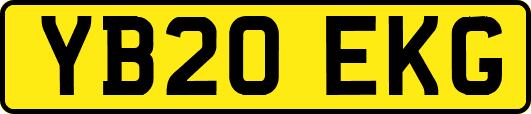 YB20EKG