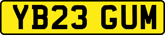 YB23GUM