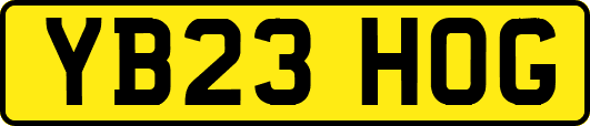 YB23HOG