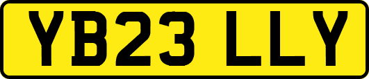 YB23LLY