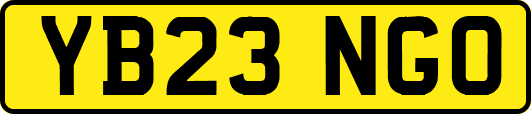 YB23NGO