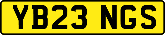 YB23NGS