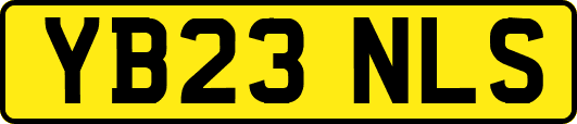 YB23NLS