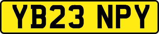 YB23NPY
