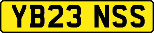 YB23NSS