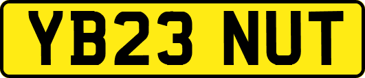 YB23NUT