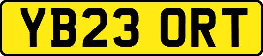 YB23ORT