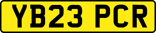 YB23PCR