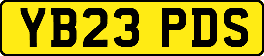 YB23PDS