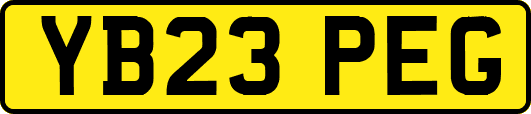YB23PEG