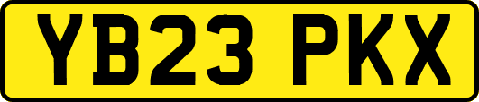 YB23PKX
