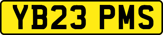 YB23PMS
