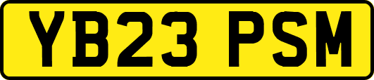YB23PSM