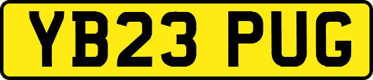 YB23PUG