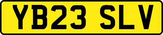 YB23SLV