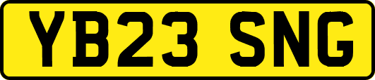 YB23SNG