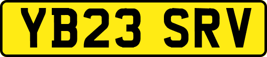 YB23SRV