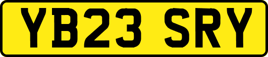 YB23SRY