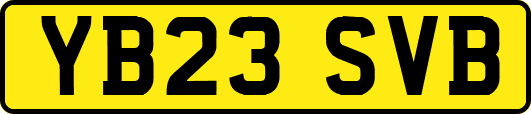 YB23SVB