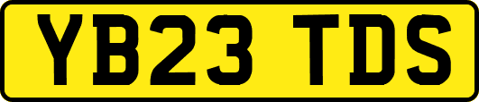 YB23TDS