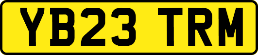 YB23TRM