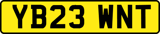 YB23WNT