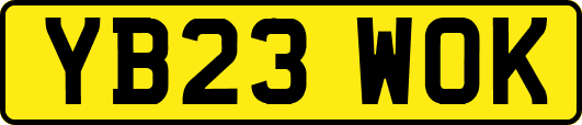 YB23WOK